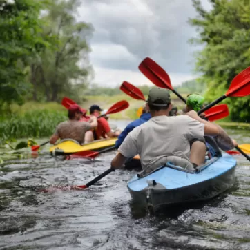 group of people canoeing